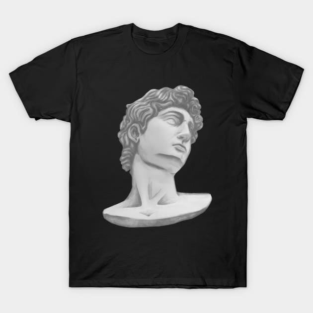 Michelangelo's beautiful head of David T-Shirt by Outlandish Tees